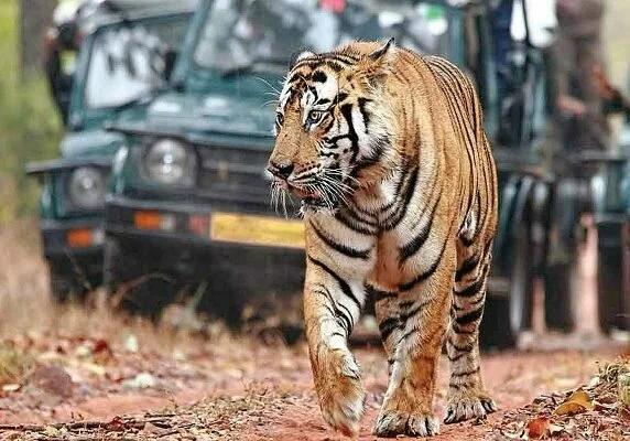 Golden Triangle with Ranthambhore Golden Triangle with Ranthambhore